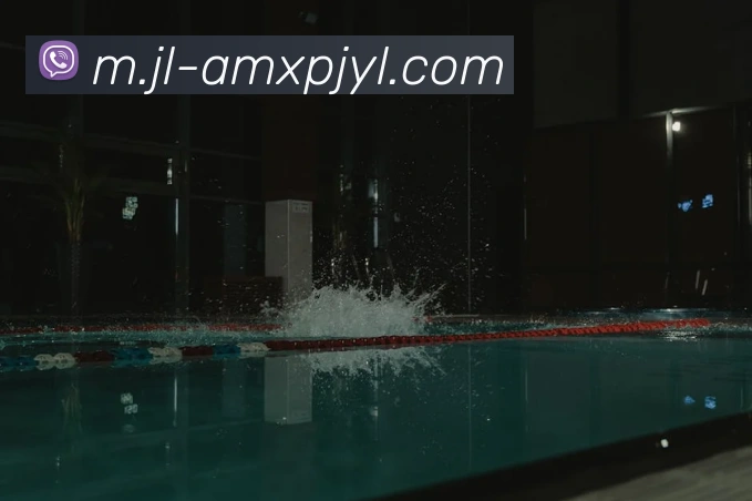 新葡京娱乐APP 封面图